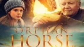 سینمایی اسب یتیم