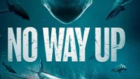 هیچ راهی به بالا نیست