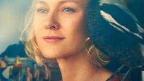 سینمایی پنگوئن بلوم