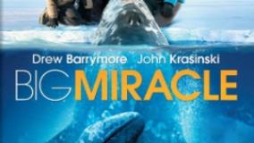 سینمایی نجات بزرگ