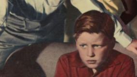 سینمایی زندگی پر ماجرا