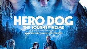 سینمایی بازگشت به خانه