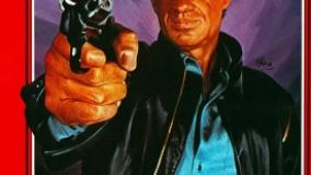 سینمایی حرفه ای