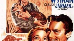 سینمایی گوزن جوان