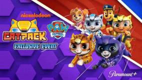 فیلم گربه پک