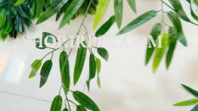 انواع دو مدل برگ مصنوعی بامبو خیزران | فروشگاه ملی