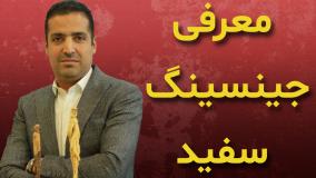 جینسینگ سفید محصولی جدید از بازرگانی شمس