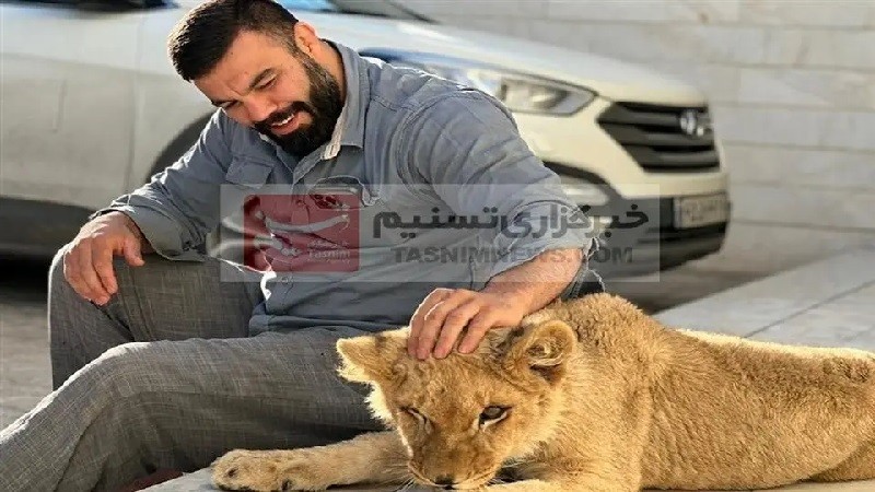 واکنش امیر علی اکبری به نگهداری و بازی کردن با شیر | ۵ دی ۱۴۰۳