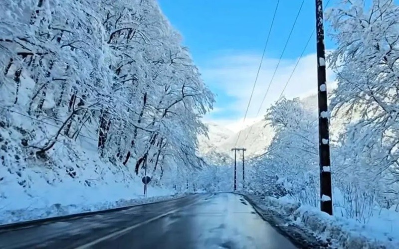 پیشبینی هواشناسی از ۱۰ روز بارش برف در ایران| ۷ دی ۱۴۰۳