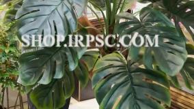 انواع درختچه مصنوعی برگ انجیری 2 متری 18 برگ | فروشگاه ملی