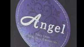 آلبوم کاغذ دیواری آنجل ANGEL