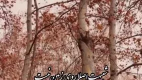 کلیپ جدید شاد عاشقانه عنوان باتوحالم خوبه