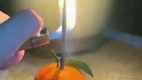 فشفشه روشن در نارنگی