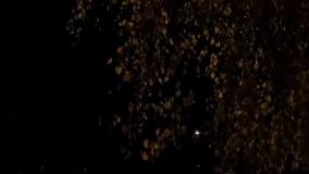 فیلم جدیدشاد خواننده حمیدهیرات عنوان عشقم