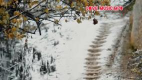 آهنگ جدیدشادعاسقانه عنوان حجت اشرف زاده