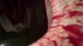 دانلود قسمت 15 سریال دفتر یادداشت