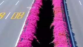 فیلم جدیدشادعاشقانه عنوان گل گلدون من