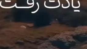 آهنگ جدیدشاداحساسی عنوان یادت رفت