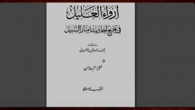 بررسي سندي روايتي که اهل سنت به آن استناد مي کنند حضرت علي براي خود جانشين تعيين نکرد!