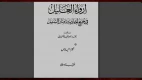 بررسي سندي روايتي که اهل سنت به آن استناد مي کنند حضرت علي براي خود جانشين تعيين نکرد!