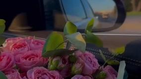 فیلم جدیدشاداحساسی  عنوان آمدم دوستش داشته باشم