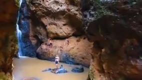 کلیپ کوتاه از یک فضای سرسبز