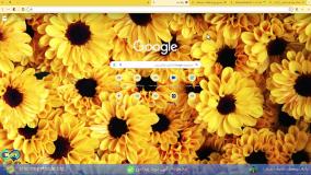 بررسی حساب پراپ لایت فارکس / آیا پراپ LiteForex وجود دارد؟! - [شماره 206]