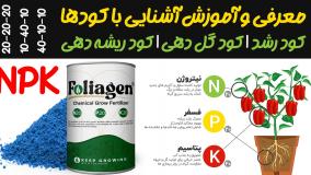 کود NPK چیست و انواع آن | خرید بهترین کود برای گل ها