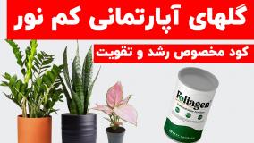 خرید بهترین کود برای گیاهان آپارتمانی کم نور