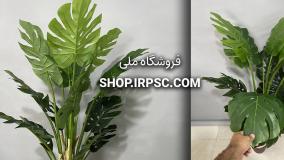 انواع درختچه مصنوعی برگ انجیری | فروشگاه ملی