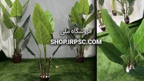 انواع درختچه مصنوعی آلوکازیا 120 سانتی‌متری | فروشگاه ملی