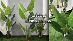 انواع درختچه مصنوعی آلوکازیا 10 برگ | فروشگاه ملی