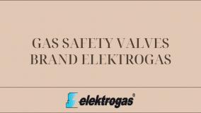 GAS SAFETY VALVES