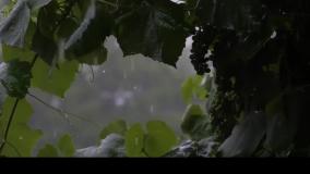 تصنیف گوهر پریشانی، خواننده و آهنگساز رضاکاکولوند، مولانا