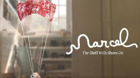 انیمیشن مارسل صدف کفش به پا