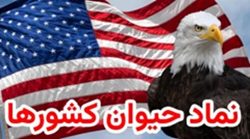 نماد حیوان هر کشور با هوش مصنوعی! | ۳ بهمن ۱۴۰۳
