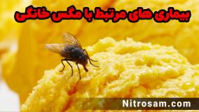 فروشگاه حشره کش مگس در تهران - سم تضمینی مگس