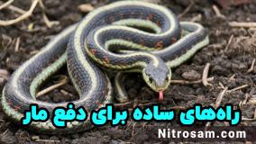 فروشگاه سم دافع مار در تهران - سم تضمینی مارکش