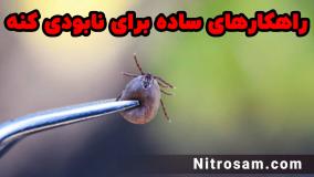 فروشگاه حشره کش کنه در تهران - سم تضمینی کنه