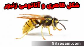 خرید سم زنبور کش - سم زنبور قوی