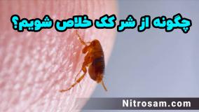 فروشگاه حشره کش کک در تهران - سم تضمینی کک