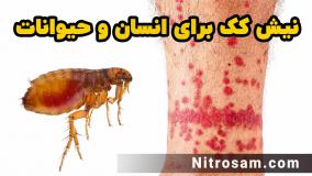 سم نابودی تخم کک - بهترین سم کک کش