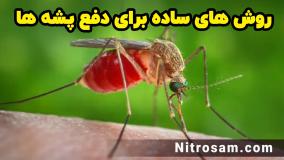 فروشگاه سم پشه ریز در تهران - حشره کش تضمینی پشه سرکه