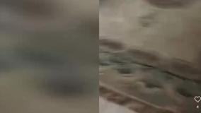 لحظات درگیری خونین خواننده سرشناس با همسرش