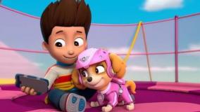 انیمیشن دیدنی سگهای نگهبان دوبله فارسی جدید | کارتون سگ های نگهبان: عملیات تعمیر منبع آب