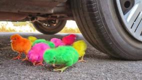 چالش له کردن وسایل کیوت | رد شدن از روی جوجه با ماشین