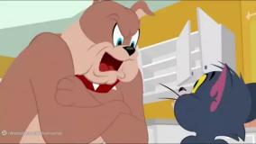 تام و جری کارتون تام و جری برنامه کودک موش و گربه انیمیشن تام جری