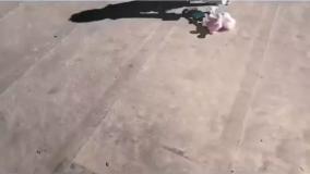 آموزش سایه علوم کلاس دوم