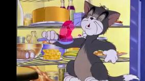 ماجراهای تام و جری جدید | کارتون موش گربه طولانی