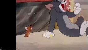 انیمیشن تام وجری | موش و گربه | تام وجری جدید | کارتون تام وجری خنده دار